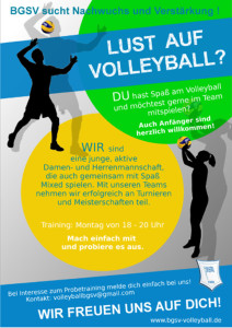 kleiner Plakat Lust auf Volleyball